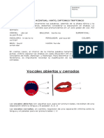 Guia Teórica Hiato-Dip-Trip