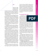 Puntos Gatillo PDF