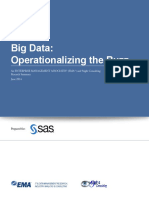 Ema Operationalizing The Buzz Big Data