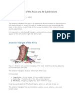 Anterior Triangle of The Neck