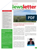 Newsletter N1