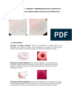 INFOMELAB