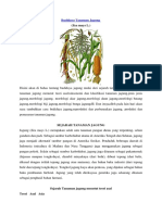 Jagung 2016 PDF