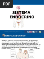 Sistema Endocrino Diapositivas