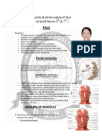 H&N Wk1 Face Muscles