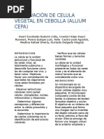 Observación de Celula Vegetal en Cebolla (Allium Cepa)