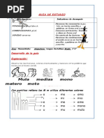 Evaluación Letras M, P, S, Y, L, D, N, V, T