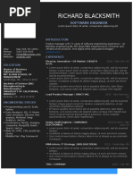 You - Exec - Resume - Spectrum - Dark - Blue