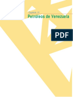 13-Petróleos de Venezuela PDF