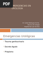 Emergencias Urologicas