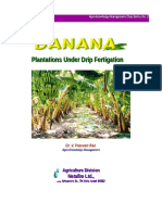 Banana Growing Manual-2 NETAFIM