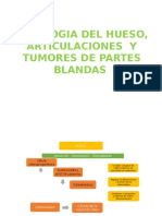 Diapos de Patologia Del Hueso, Articulaciones y Tumores de Partes Blandas