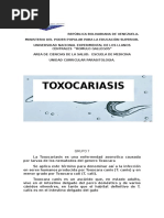 Parasitologia Toxocariasis Grupo 7