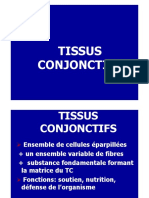 Tissus Conjonctifs I