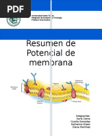 Resumen Potencial de Membrana