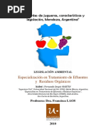 Efluentesde Jugueras Caracteristicasy Legislacion Mendoza Argentina