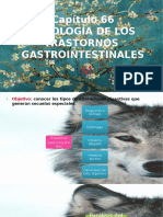 Trastornos Gastrointestinales 66