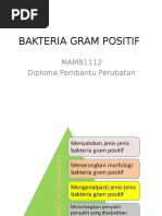 Aa Bakteria Gram Positif