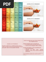 Diptico de Anemia en Embarazo