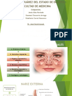 Anatomía y Fisiología de La Nariz y Senos Paranasales