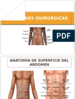 Incisiones Quirúrgicas