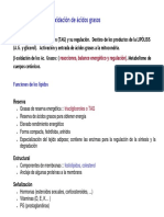 T9-Lipolisis Impotante PDF