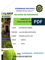 Practica N°1 - Entomologia