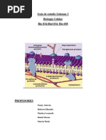 Guía de Estudio Solemne 2