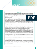 Ficha 1 - Comunicacion PDF