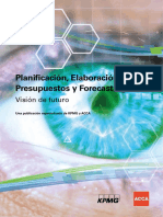 Planificación, Elaboración de Presupuestos y Forecasting