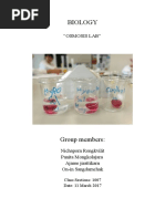 Biology: "Osmosis Lab"