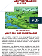 Humedales y Bofedales en El Peru