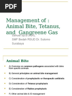 Management of Animal Bite