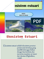 Ekosistem Estuari