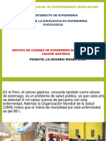 Competencia de Enfermeria Cancer Gastrico 2014 PDF