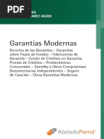 1110 José Luis Riva - Garantías Modernas