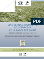 Guia de Reconocimiento y Manejo de Pastos de La Pampa Deprimida PDF