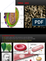 Virus - Sida