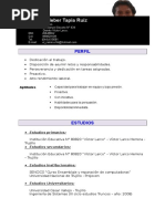 Curriculum Ramiro Tapia Ruiz