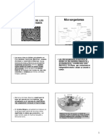 Clase 2 Clasificaciã"n de Microorganismos