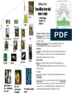 Deciduous Forest Food Web