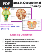 Diploma in Occupational Therapy