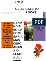 Afiche Gallito