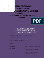 Informe D. Cuenca de Pativilca