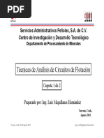 Analisis Circuitos Flotacion Parte 1 PDF