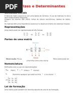 Matrizes e Determinantes