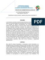 Informe Practica de Fermentación Alcoholica PDF