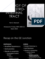 Histology of GIT Part 2 Stomach PDF