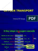 Oxygen Transport2