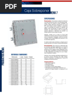 Tablero Panel Explosiòn Proof NEMA 7